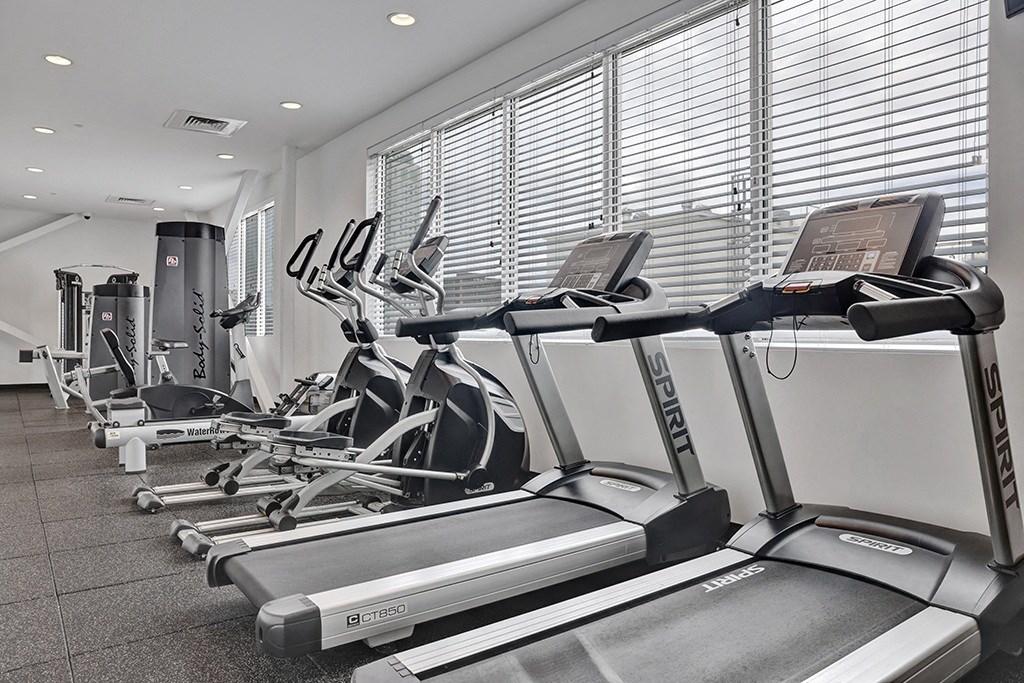 a row of treadmills and ellipticals in a gym