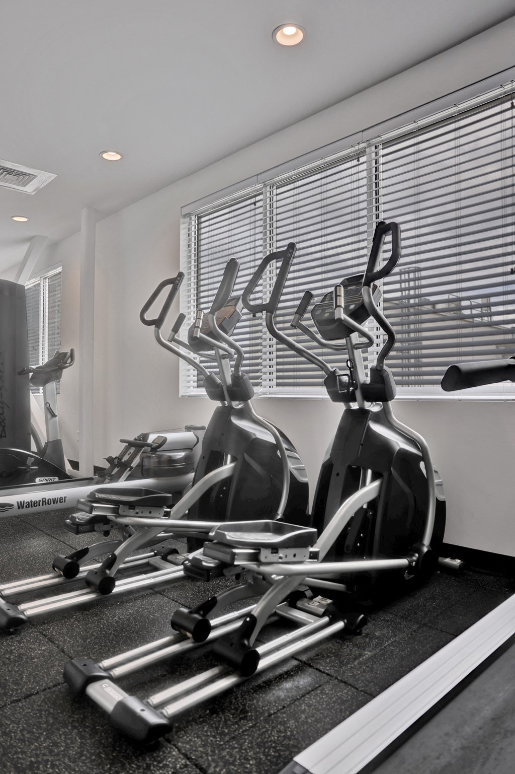 a row of exercise bikes in a gym