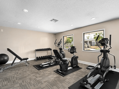 A home gym with a variety of equipment including a treadmill, exercise bike, and weights.