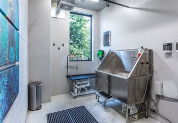 a treatment room with a silver tub and a sink and a window