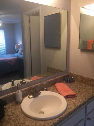 a bathroom with a sink and a mirror