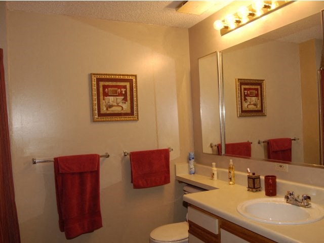 a bathroom with a sink and a toilet and a mirror