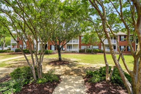 a grassy area with trees in front of a building