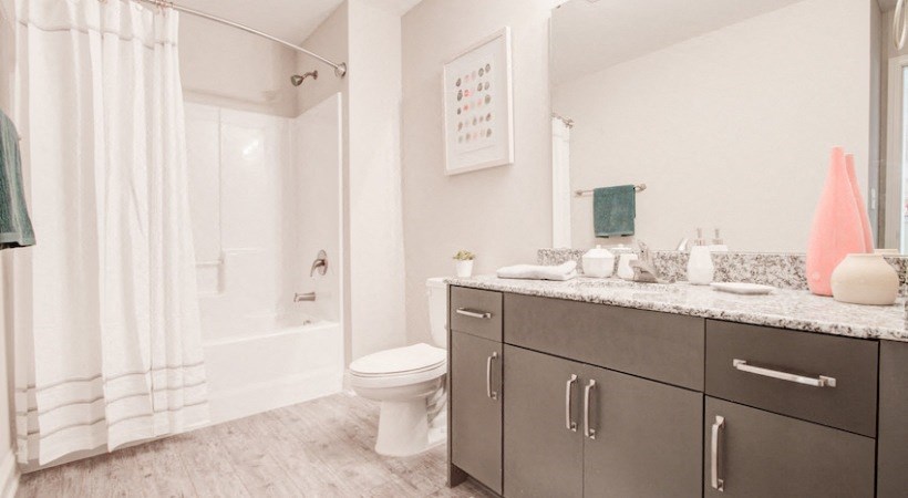 a bathroom with a sink and a toilet and a shower