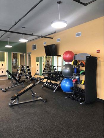 the gym is stocked with equipment for your use