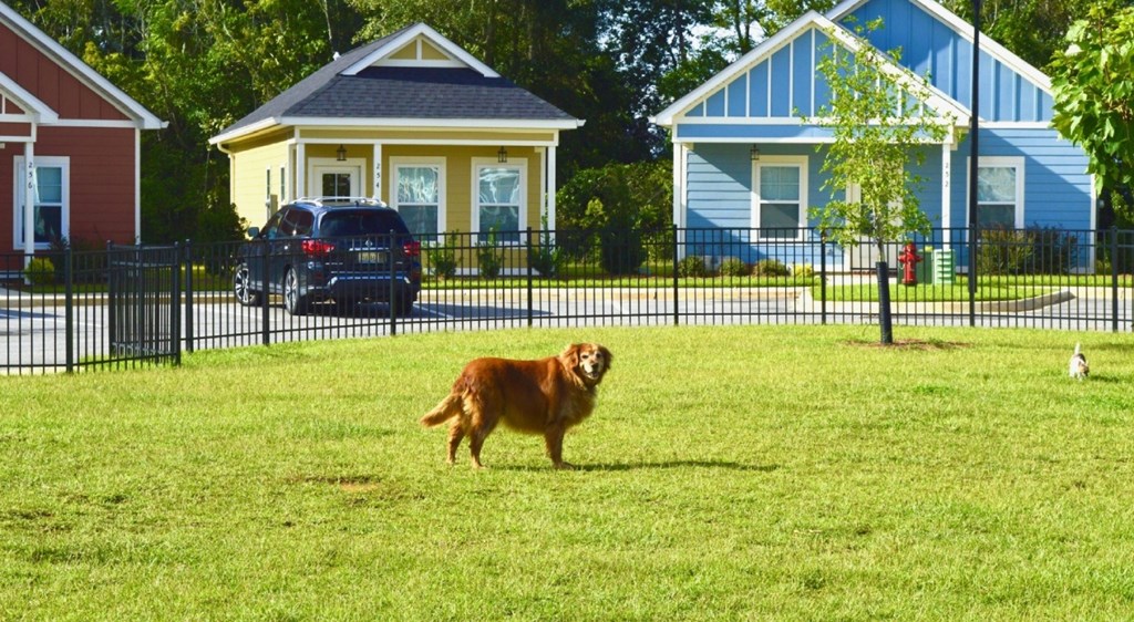 A dog is walking in a grassy area in front of a blue house.