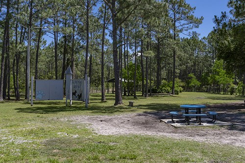 South Walton Beach Dog Park