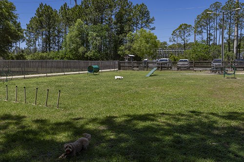 South Walton Beach Dog Park