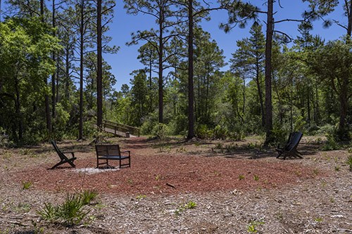 South Walton Beach Dog Park