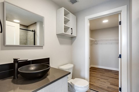 A bathroom with a black sink and toilet.