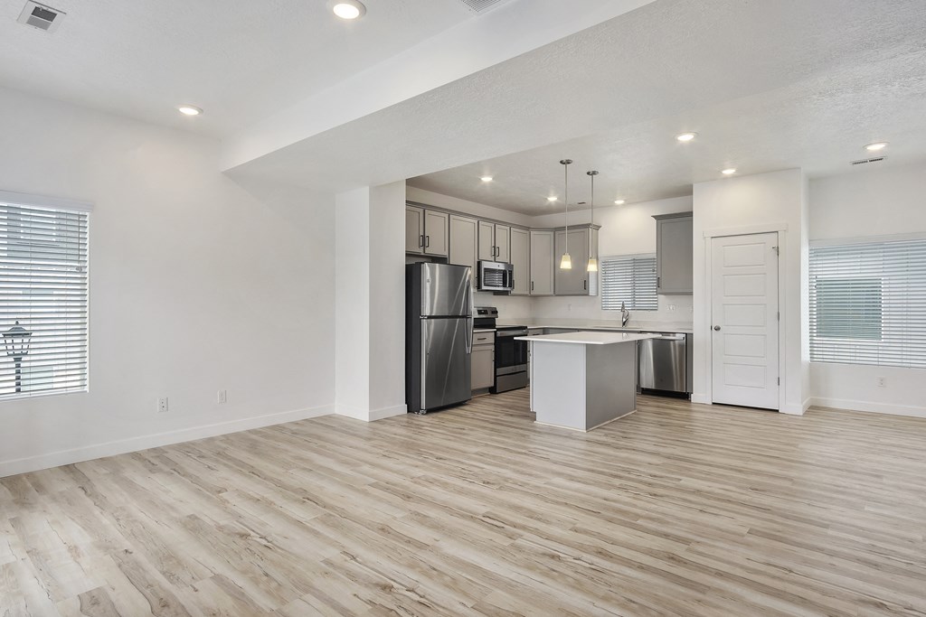 Living Room and Kitchen