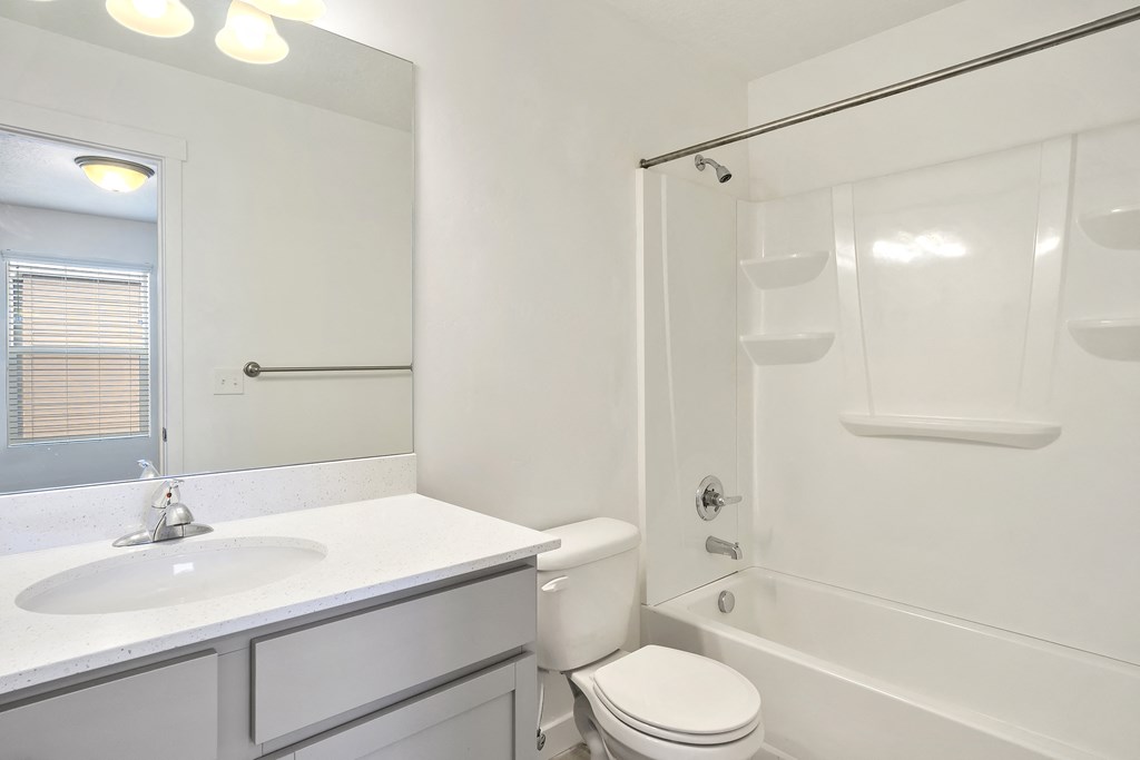 Bathroom with large vanity