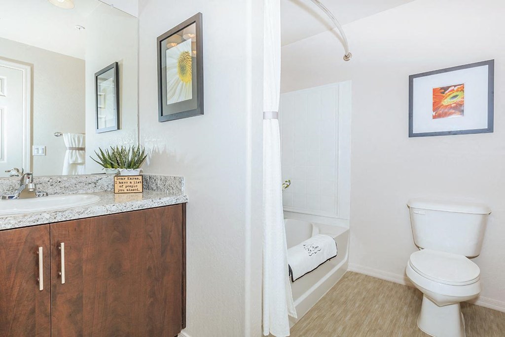 1x1 Full Bath at Ascend at Red Mountain, Arizona, 85215