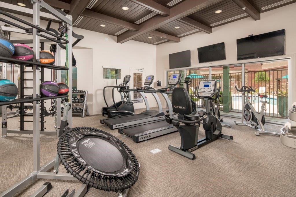 A gym with treadmills, exercise bikes, and a rack of exercise balls.