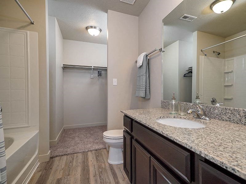 a bathroom with a sink and a toilet and a shower