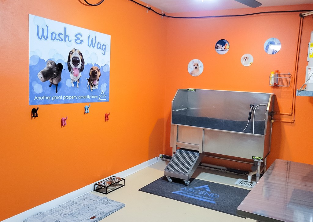 Private dog wash room with walk in basin, blow dryer and grooming table at Ascend at Red Mountain, Arizona