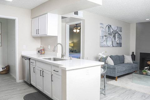 an open kitchen and living room with a couch and a sink