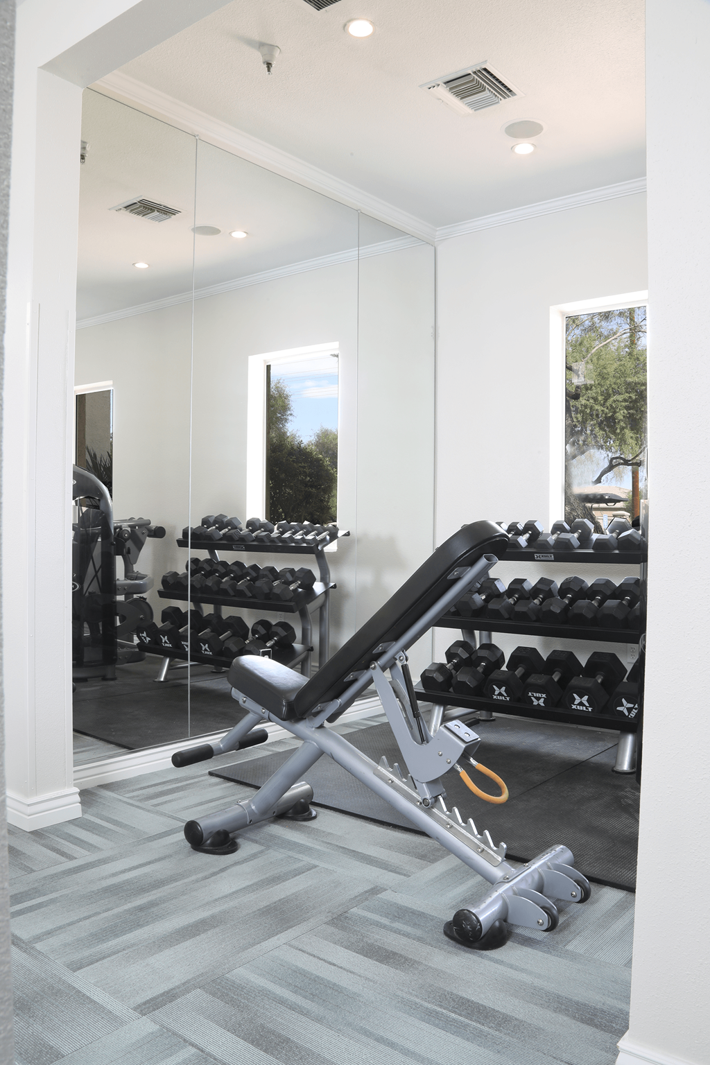 A gym with a mirror, weights, and a bench.