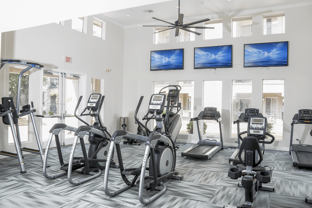 A gym with a variety of exercise equipment including treadmills, stationary bikes, and elliptical machines.