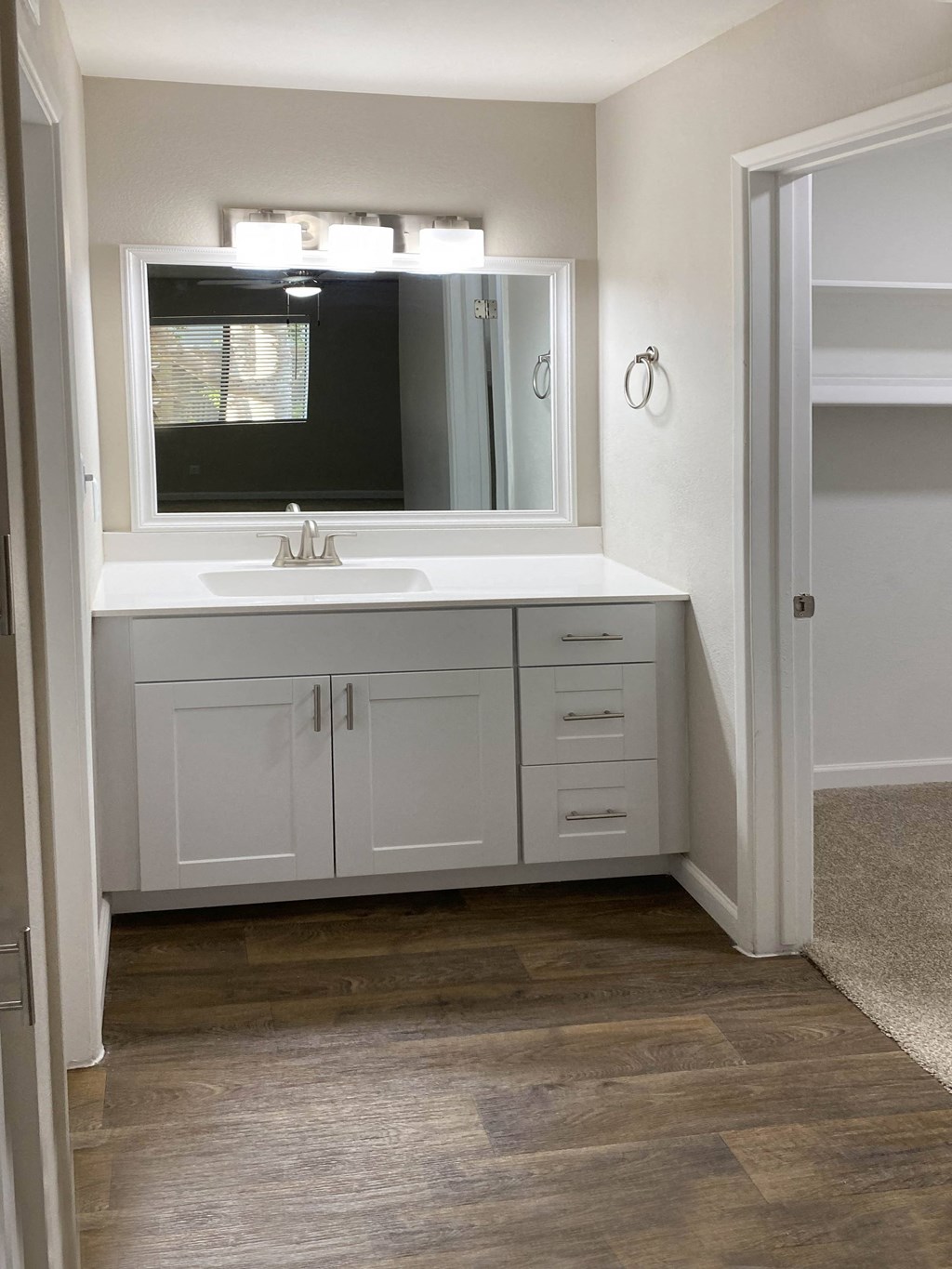 Updated Bathroom at Stonebridge, Arizona