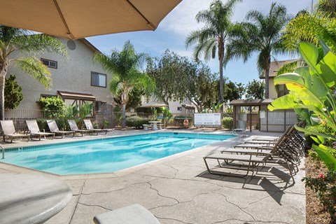 Canyon Run Pool