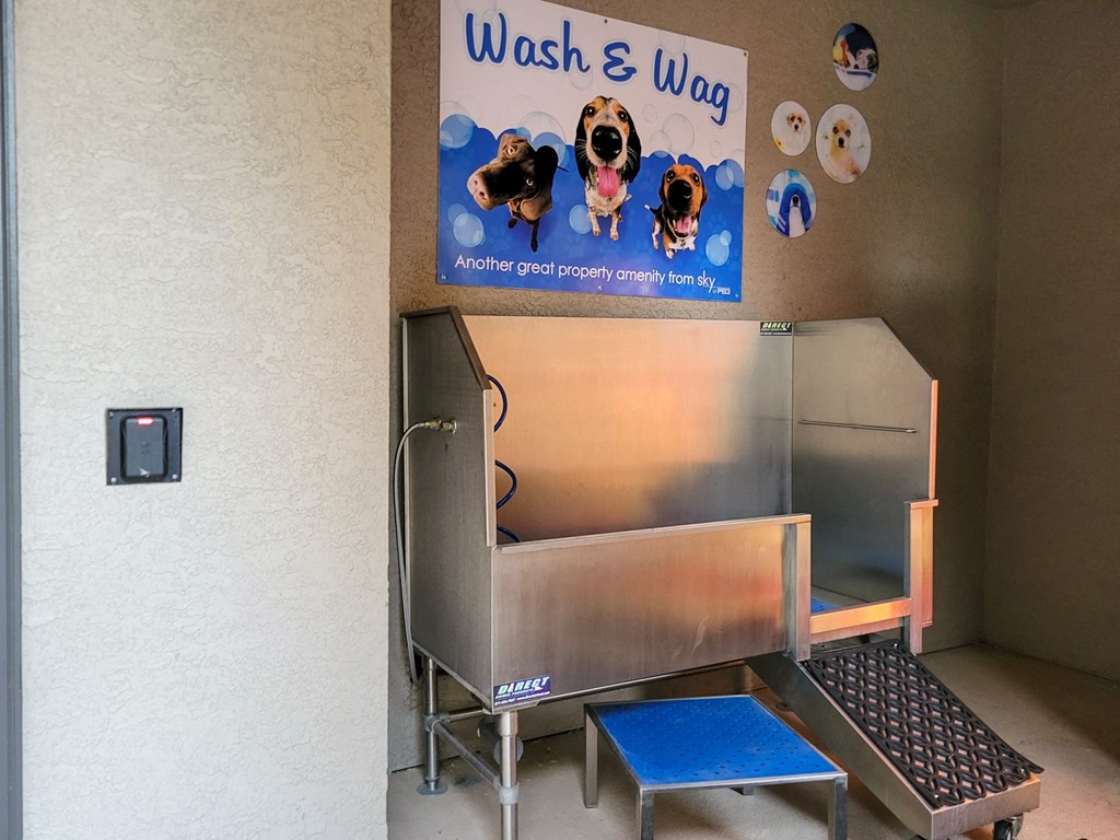 Dog Wash at Sky at P83, Arizona