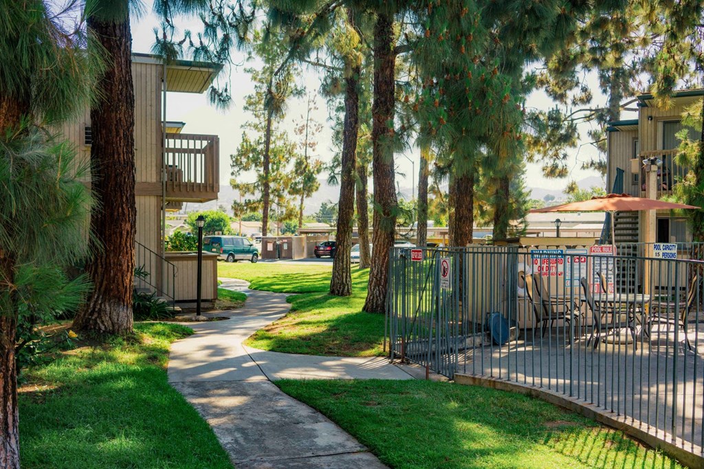 a pathway through a park with trees and a fence