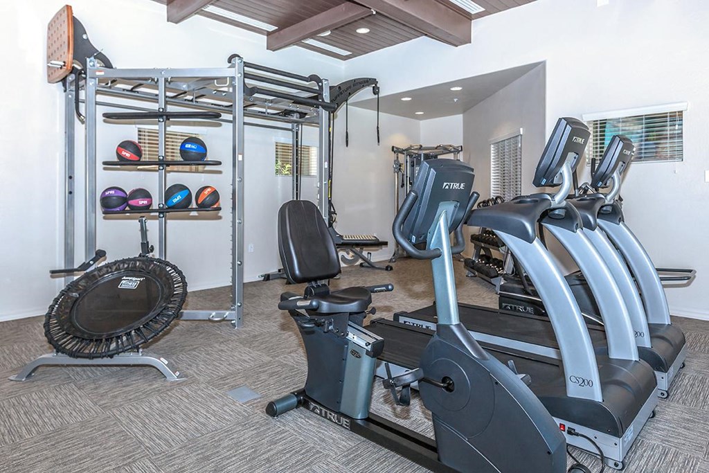 Fitness Equipment Fitness Equipment at Ascend at Red Mountain, AZ 85215