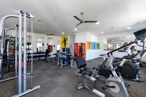 A gym with a variety of equipment including treadmills, weights, and exercise machines.