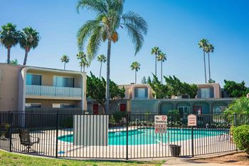 our apartments are located near the pool and palm trees