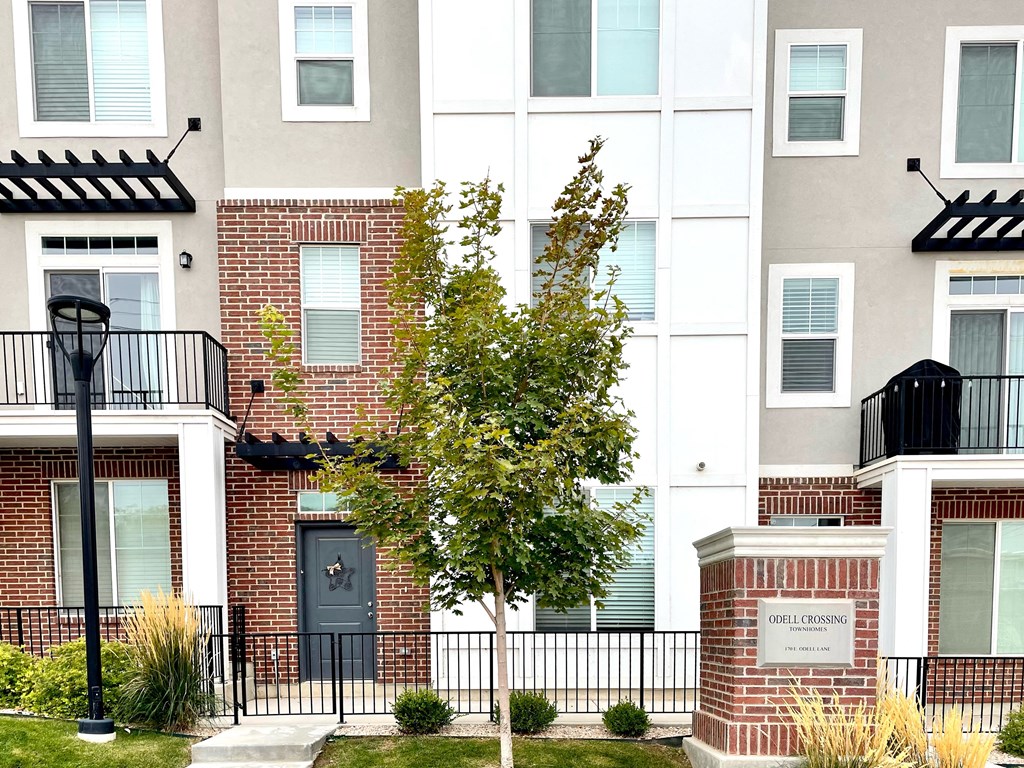 an apartment building with a tree in front of it