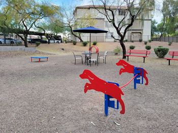 Pet Park at Sky at P83, Arizona