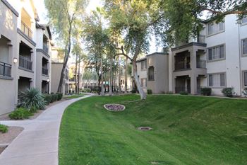 Lush landscaping at Sky at P83, Peoria, Arizona