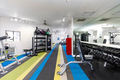 A gym with a variety of equipment including a treadmill, weights, and a bench press.
