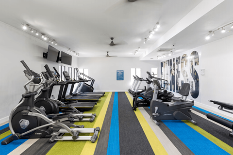 A gym with a row of stationary bikes.