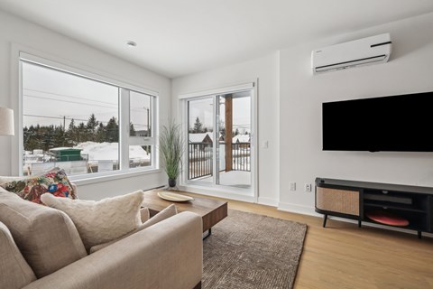 A living room with a couch, a rug, a television, and a window with a view of a snowy landscape.