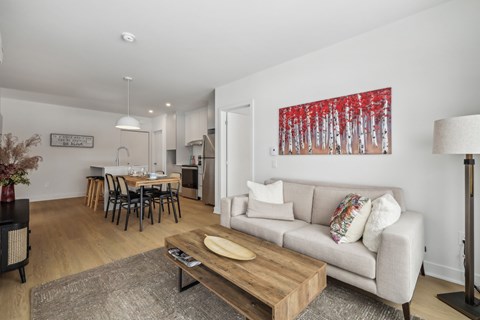 A living room with a couch, coffee table, and a dining table.