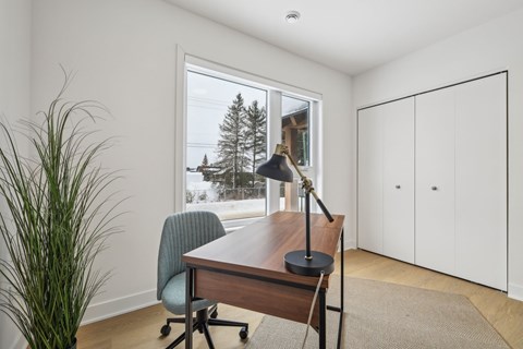 A room with a desk, chair, and a potted plant.
