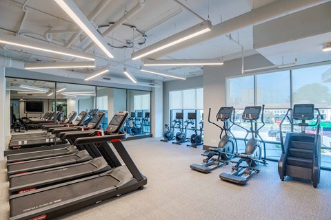 A gym with treadmills, exercise bikes, and elliptical machines.at The Ace, Richmond Virginia