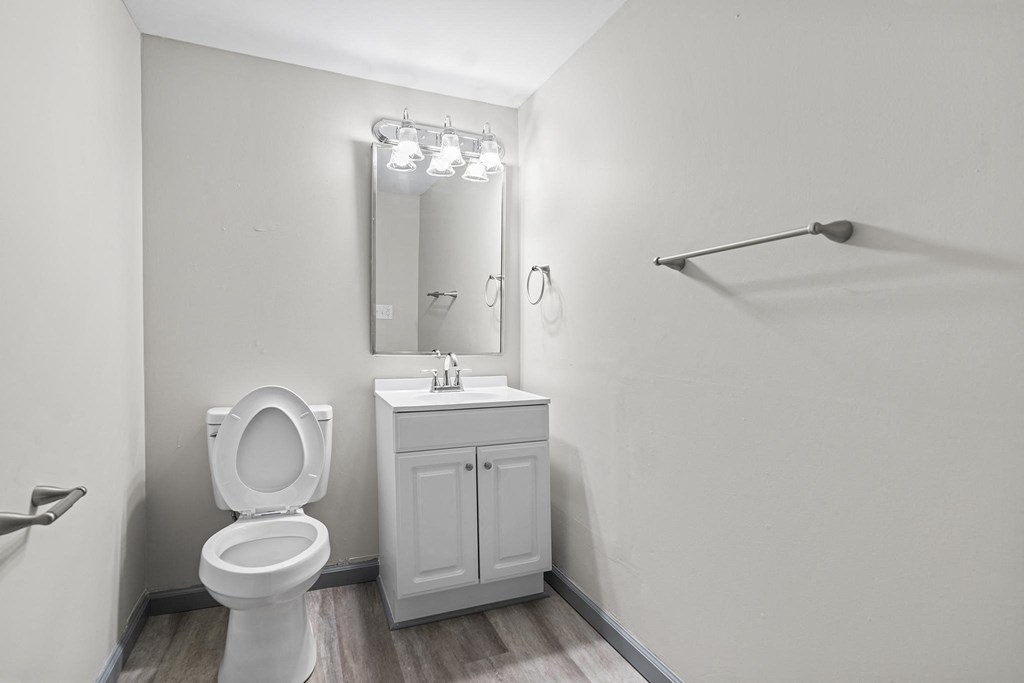 a bathroom with a toilet and a sink and a mirror