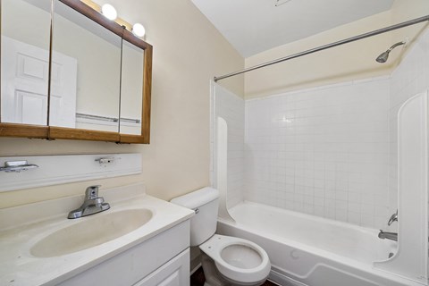 a bathroom with a sink toilet and bath tub and a mirror