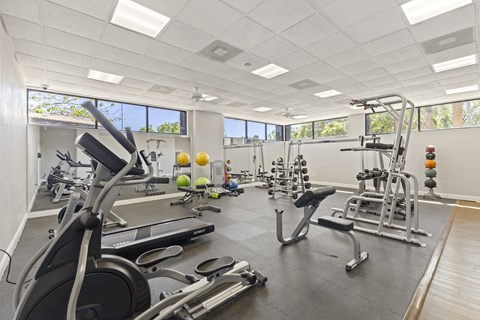 A gym with a variety of equipment including treadmills, weights, and exercise machines.