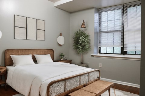 A bedroom with a large bed and a small tree by the window.