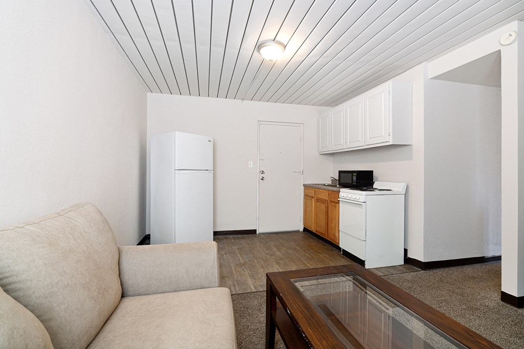 Living Room Kitchen Area