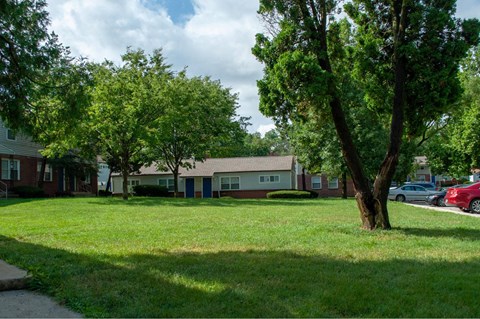 A tree in a grassy area in front of a building.