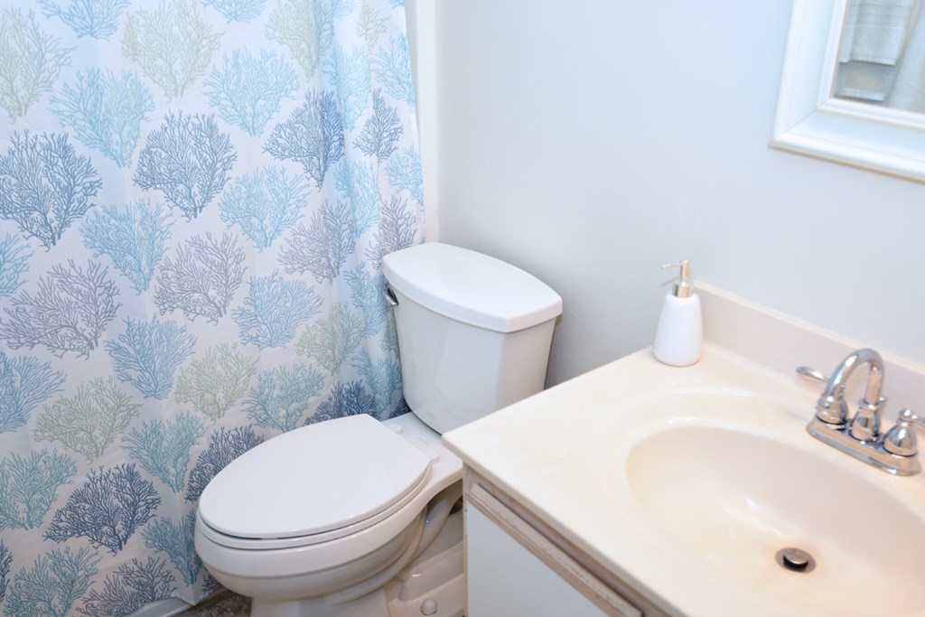 Ashton Woods bathroom