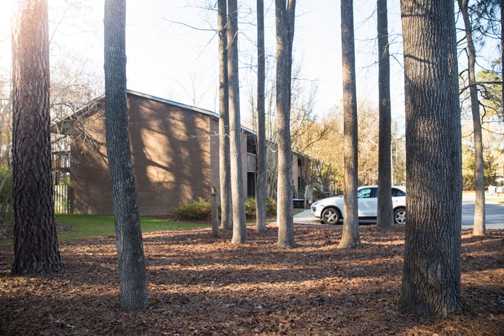 Brookfield courtyard
