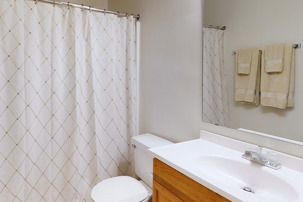 Wesley South and Brookfield 1BR bathroom