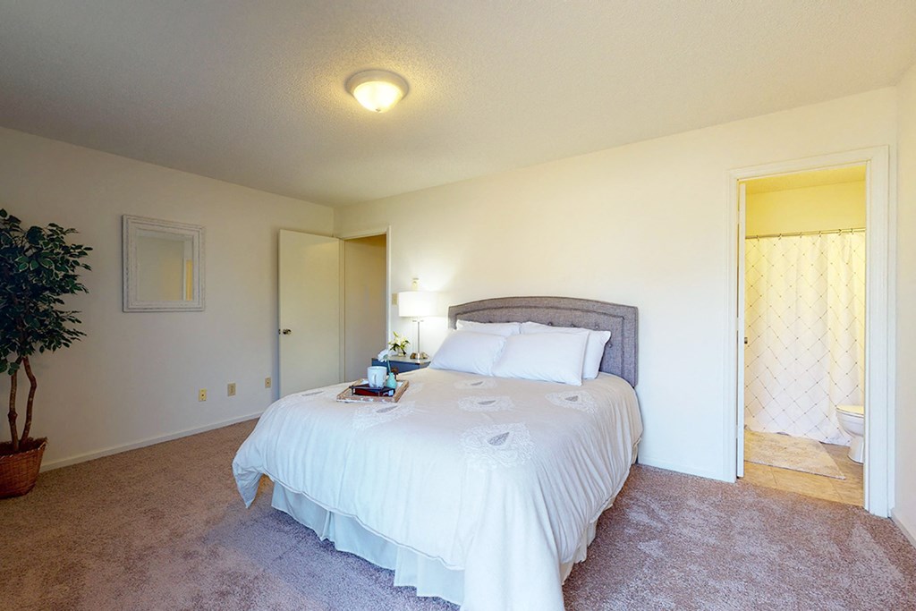 Wesley South and Brookfield 1BR bedroom