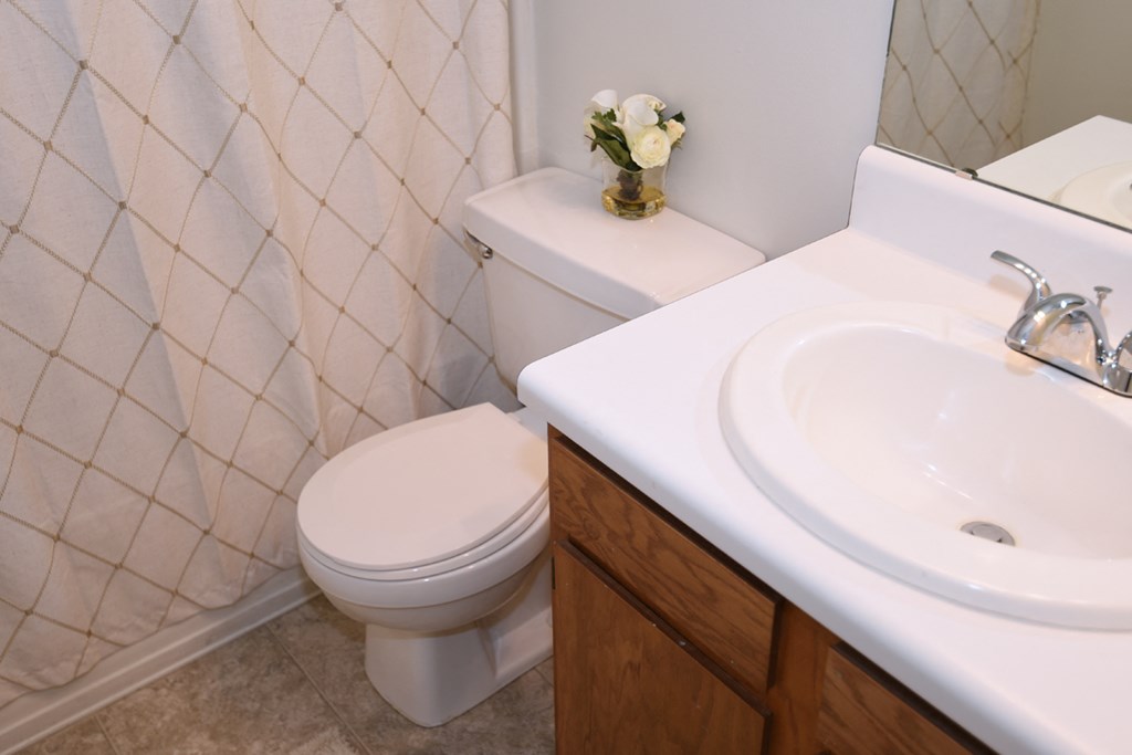 Wesley South and Brookfield 2BR bathroom